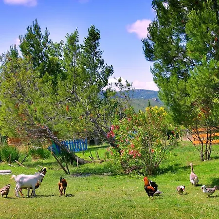 Lodge La Peiriere - En Pays Cathare *