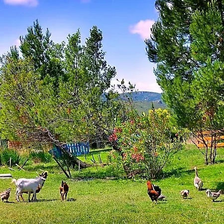La Peiriere - En Pays Cathare * Tuchan