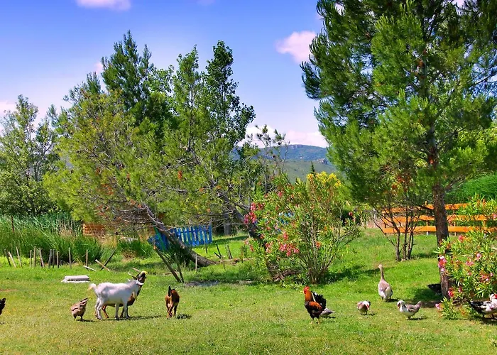 Lodge La Peiriere - En Pays Cathare *